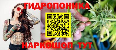 шишки Кулебаки