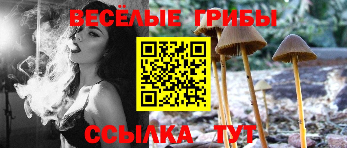 Ярцево  Галлюциногенные грибы Psilocybine cubensis  Вход с VPN 